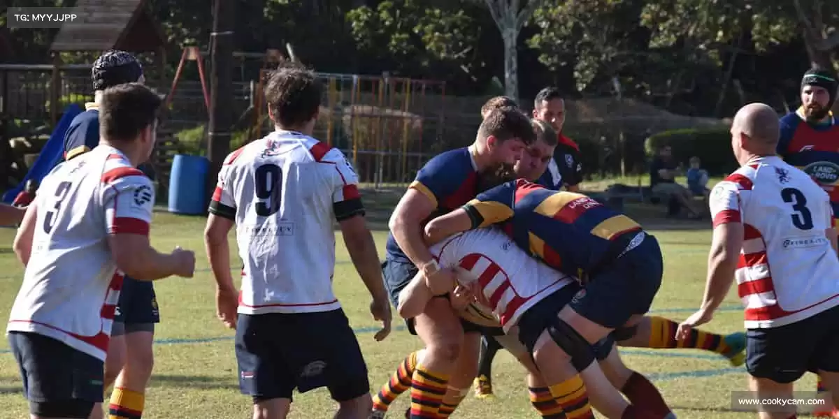 九游电竞 (中国)🥏极限运动的腾空翻转,挑战地心引力,做自己的英雄!